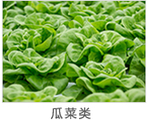 ��(j��)�ϻ�혌����}��\,�}���\,����бP,��бP,؛�����a(ch��n)�S��